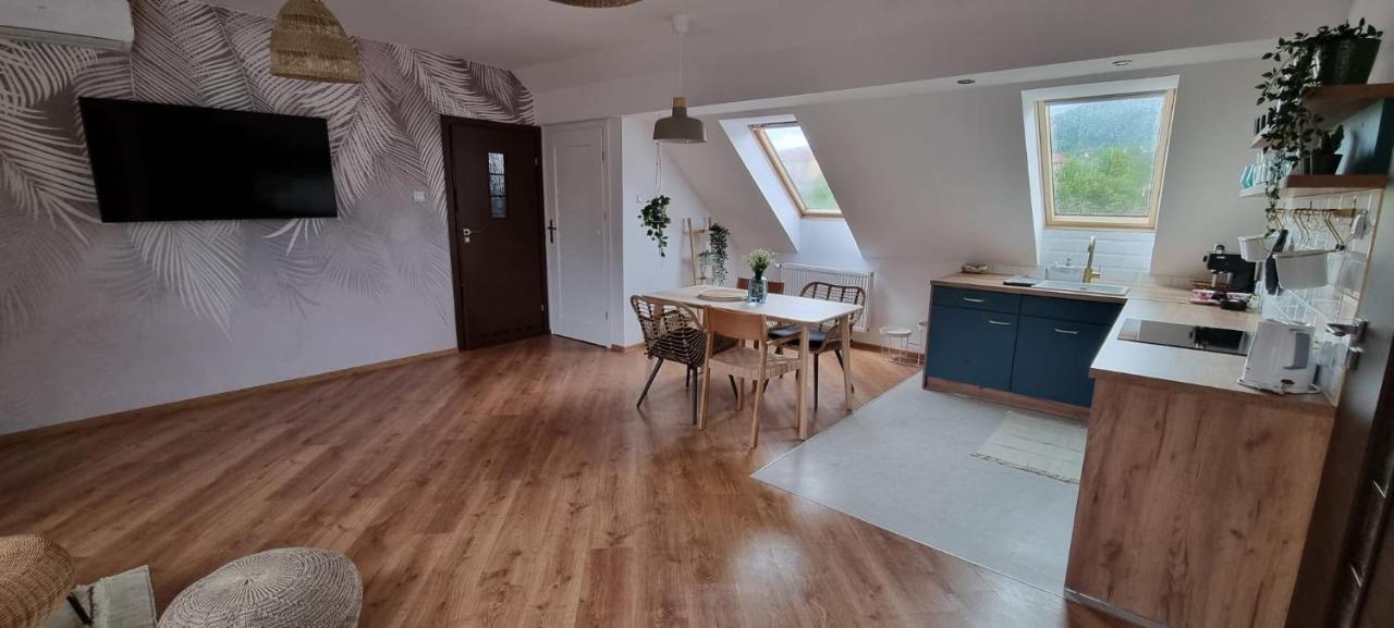 Apartament W Centrum - Nasze Poddasze Ustrzyki Dolne Ngoại thất bức ảnh