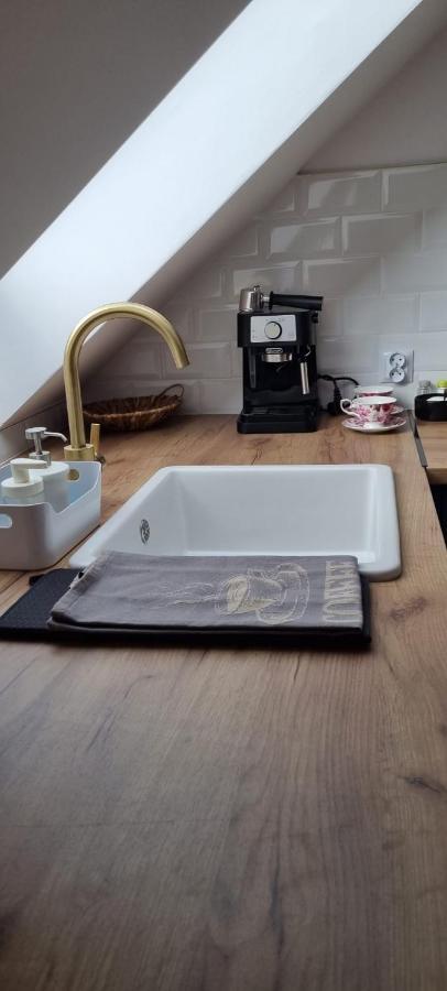 Apartament W Centrum - Nasze Poddasze Ustrzyki Dolne Ngoại thất bức ảnh